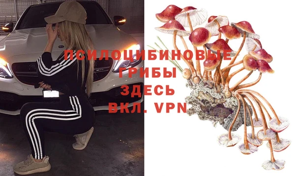 стафф Беломорск