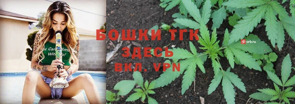 сатива Богородицк