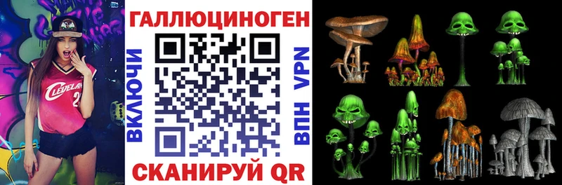 купить наркотик  Городище  Псилоцибиновые грибы MAGIC MUSHROOMS 